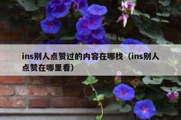 ins别人点赞过的内容在哪找（ins别人点赞在哪里看） 第1张