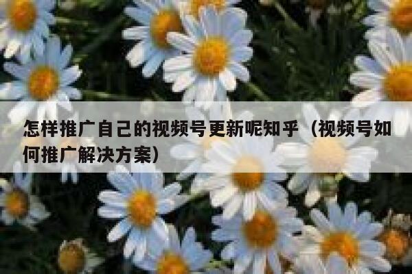 怎样推广自己的视频号更新呢知乎（视频号如何推广解决方案） 第1张