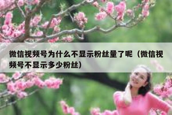 微信视频号为什么不显示粉丝量了呢（微信视频号不显示多少粉丝） 第1张