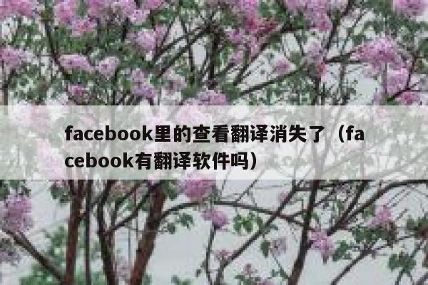 facebook里的查看翻译消失了(facebook有翻译软件吗) 第1张 facebook里的查看翻译消失了(facebook有翻译软件吗) 第1张
