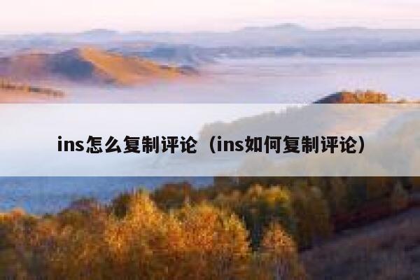 ins怎么复制评论（ins如何复制评论） 第1张