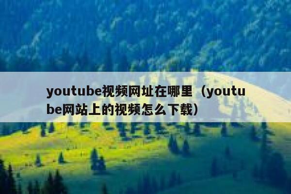 youtube视频网址在哪里（youtube网站上的视频怎么下载） 第1张