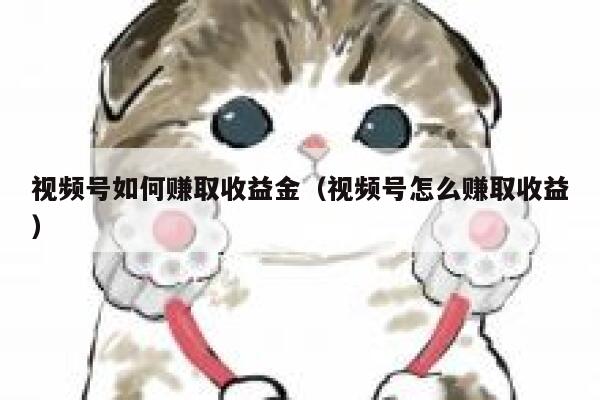 视频号如何赚取收益金（视频号怎么赚取收益） 第1张