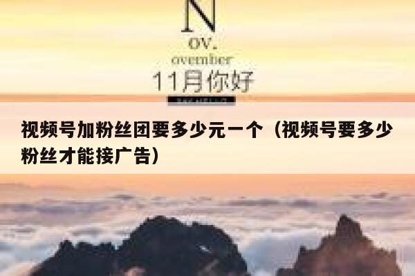 视频号加粉丝团要多少元一个（视频号要多少粉丝才能接广告） 第1张