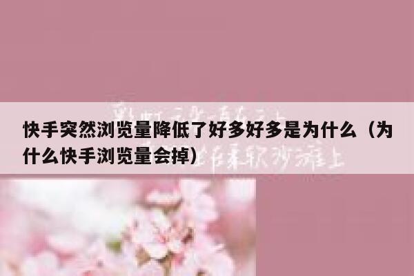 快手突然浏览量降低了好多好多是为什么(为什么快手浏览量会掉) 第1张 快手突然浏览量降低了好多好多是为什么(为什么快手浏览量会掉) 第1张