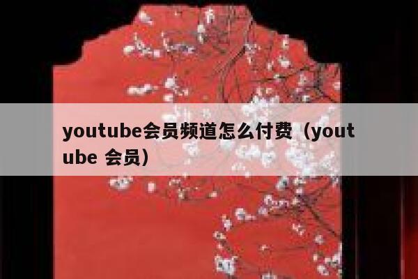 youtube会员频道怎么付费（youtube 会员） 第1张