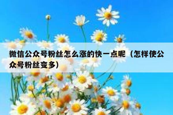 微信公众号粉丝怎么涨的快一点呢（怎样使公众号粉丝变多） 第1张