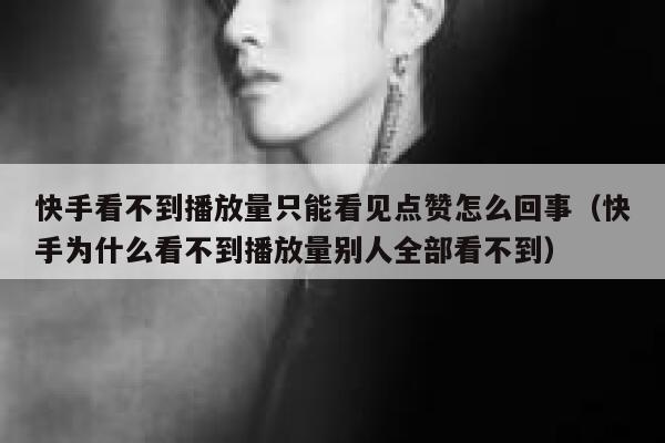 快手看不到播放量只能看见点赞怎么回事(快手为什么看不到播放量别人全部看不到) 第1张 快手看不到播放量只能看见点赞怎么回事(快手为什么看不到播放量别人全部看不到) 第1张