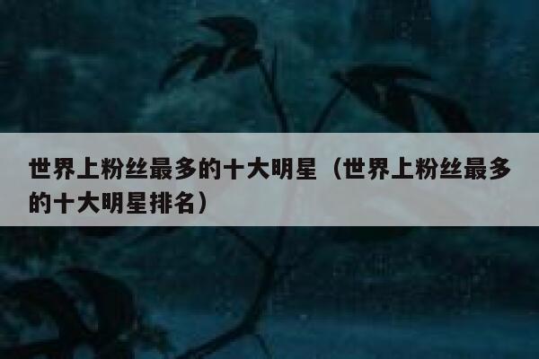 世界上粉丝最多的十大明星（世界上粉丝最多的十大明星排名） 第1张