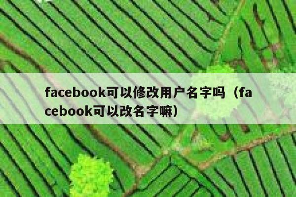 facebook可以修改用户名字吗（facebook可以改名字嘛） 第1张