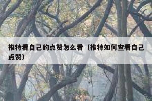 推特看自己的点赞怎么看（推特如何查看自己点赞） 第1张