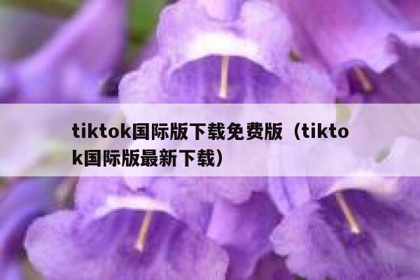 tiktok国际版下载免费版（tiktok国际版最新下载） 第1张
