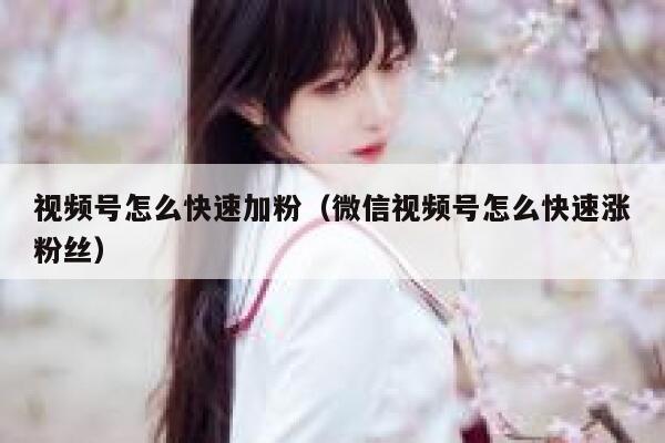 视频号怎么快速加粉（微信视频号怎么快速涨粉丝） 第1张