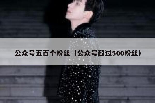 公众号五百个粉丝（公众号超过500粉丝） 第1张