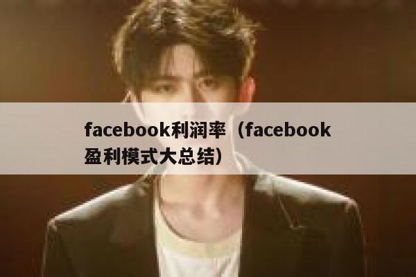 facebook利润率（facebook盈利模式大总结） 第1张