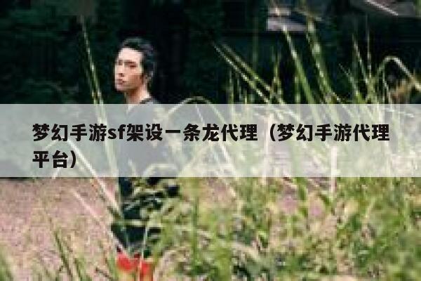 梦幻手游sf架设一条龙代理（梦幻手游代理平台） 第1张