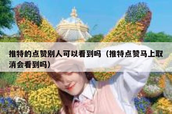 推特的点赞别人可以看到吗（推特点赞马上取消会看到吗） 第1张