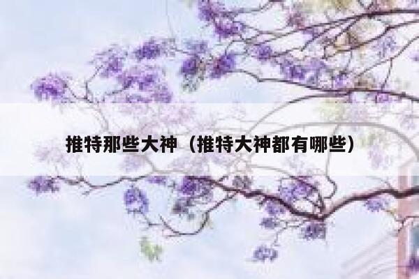 推特那些大神（推特大神都有哪些） 第1张