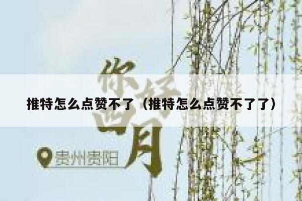推特怎么点赞不了（推特怎么点赞不了了） 第1张