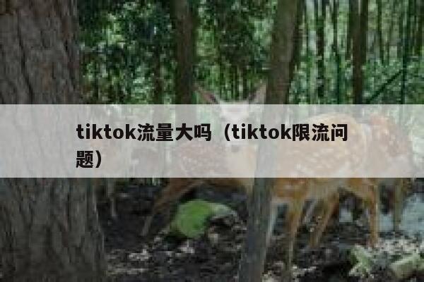 tiktok流量大吗（tiktok限流问题） 第1张