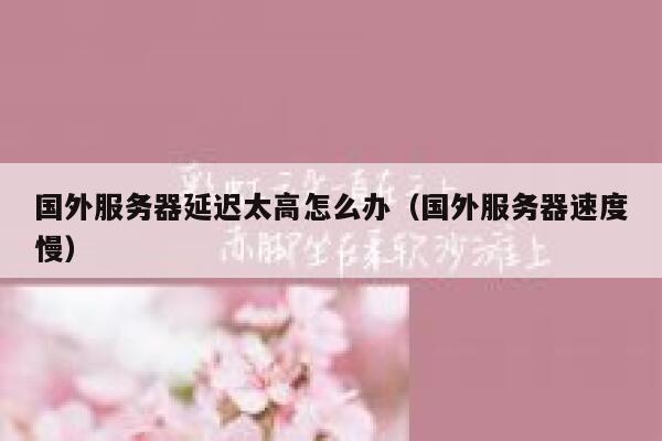 国外服务器延迟太高怎么办（国外服务器速度慢） 第1张