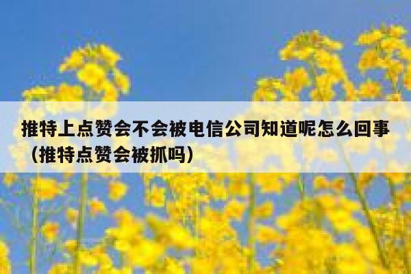 推特上点赞会不会被电信公司知道呢怎么回事（推特点赞会被抓吗） 第1张