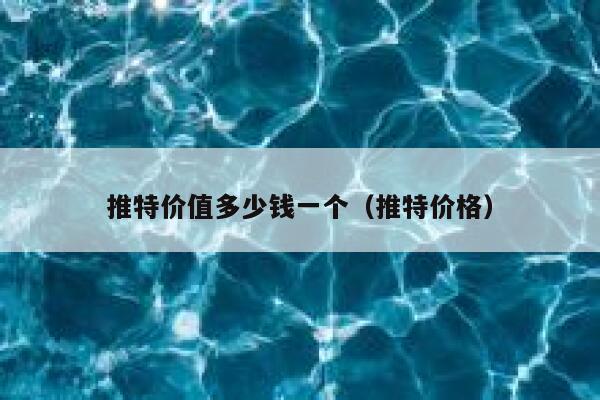 推特价值多少钱一个（推特价格） 第1张