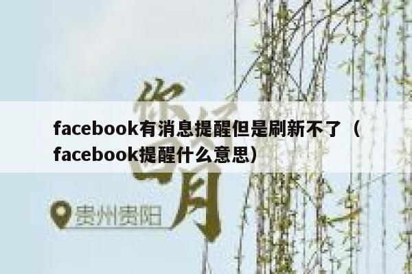 facebook有消息提醒但是刷新不了（facebook提醒什么意思） 第1张