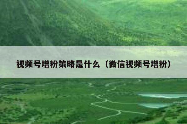 视频号增粉策略是什么（微信视频号增粉） 第1张