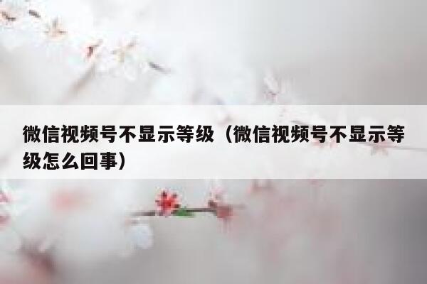微信视频号不显示等级（微信视频号不显示等级怎么回事） 第1张