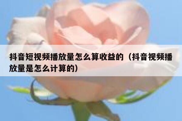 抖音短视频播放量怎么算收益的（抖音视频播放量是怎么计算的） 第1张