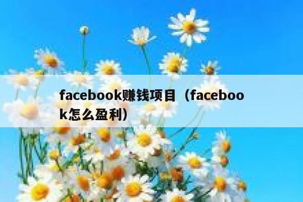 facebook赚钱项目（facebook怎么盈利） 第1张