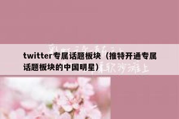 twitter专属话题板块（推特开通专属话题板块的中国明星） 第1张