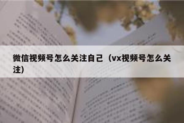 微信视频号怎么关注自己（vx视频号怎么关注） 第1张