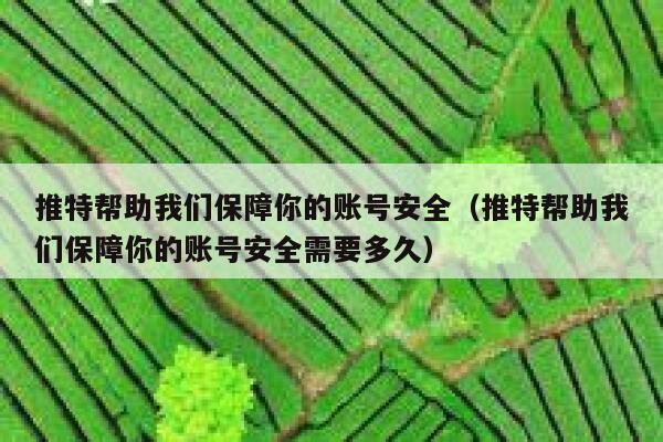 推特帮助我们保障你的账号安全（推特帮助我们保障你的账号安全需要多久） 第1张