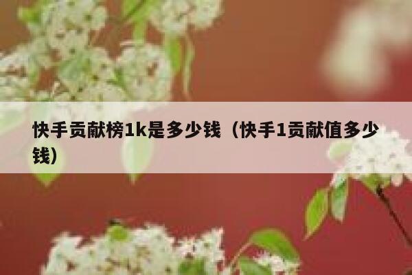 快手贡献榜1k是多少钱（快手1贡献值多少钱） 第1张