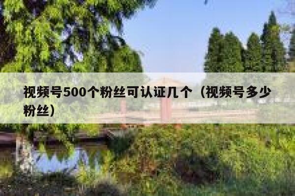 视频号500个粉丝可认证几个（视频号多少粉丝） 第1张