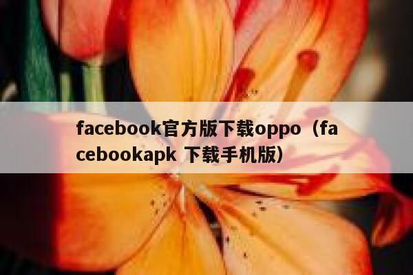 facebook官方版下载oppo（facebookapk 下载手机版） 第1张