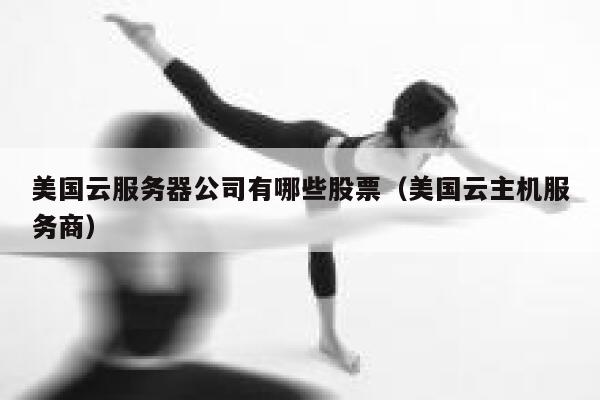 美国云服务器公司有哪些股票（美国云主机服务商） 第1张