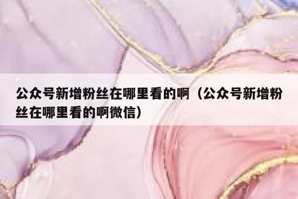 公众号新增粉丝在哪里看的啊（公众号新增粉丝在哪里看的啊微信） 第1张