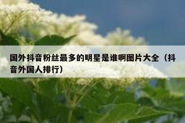 国外抖音粉丝最多的明星是谁啊图片大全（抖音外国人排行） 第1张