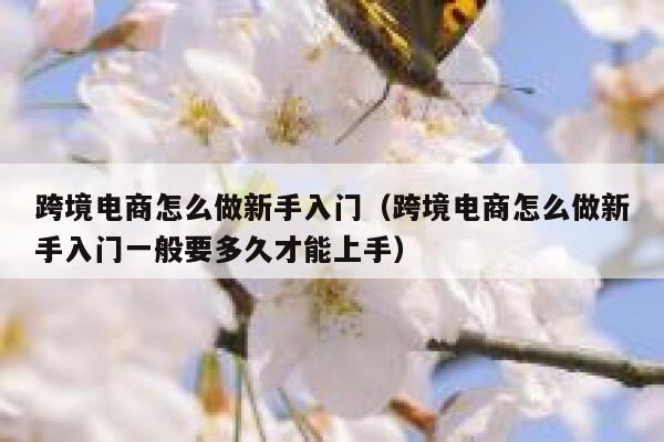 跨境电商怎么做新手入门（跨境电商怎么做新手入门一般要多久才能上手） 第1张