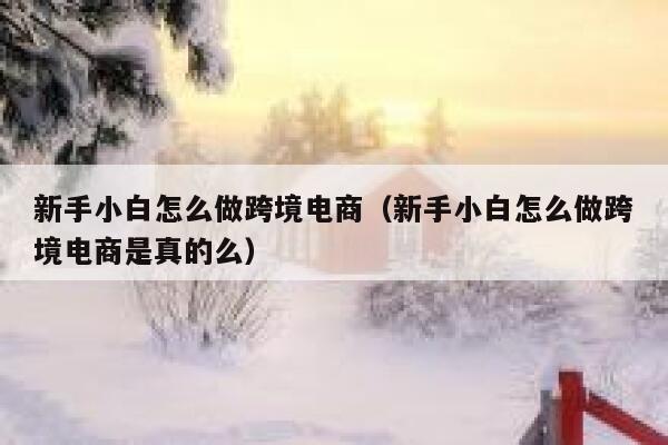 新手小白怎么做跨境电商（新手小白怎么做跨境电商是真的么） 第1张