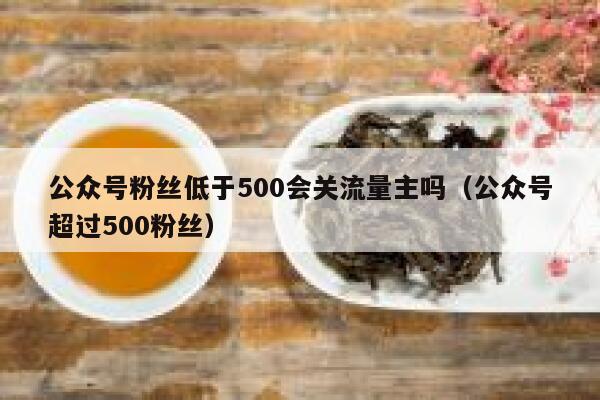 公众号粉丝低于500会关流量主吗（公众号超过500粉丝） 第1张
