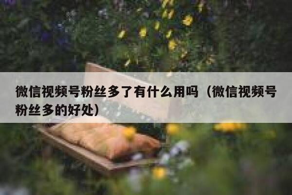 微信视频号粉丝多了有什么用吗（微信视频号粉丝多的好处） 第1张