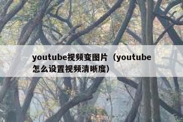 youtube视频变图片（youtube怎么设置视频清晰度） 第1张