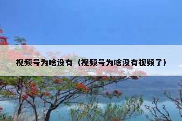 视频号为啥没有（视频号为啥没有视频了） 第1张