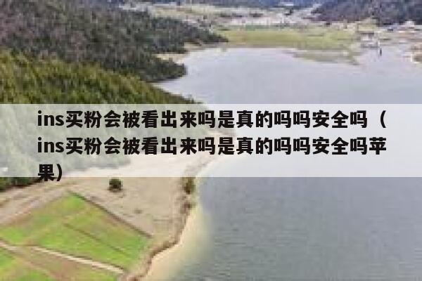 ins买粉会被看出来吗是真的吗吗安全吗（ins买粉会被看出来吗是真的吗吗安全吗苹果） 第1张