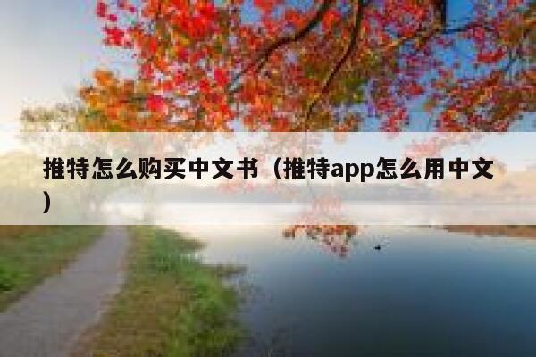 推特怎么购买中文书（推特app怎么用中文） 第1张