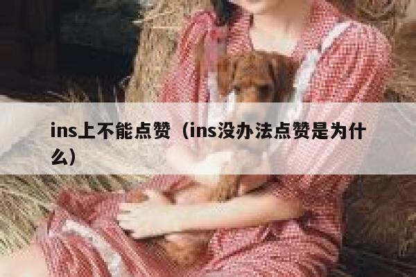 ins上不能点赞（ins没办法点赞是为什么） 第1张